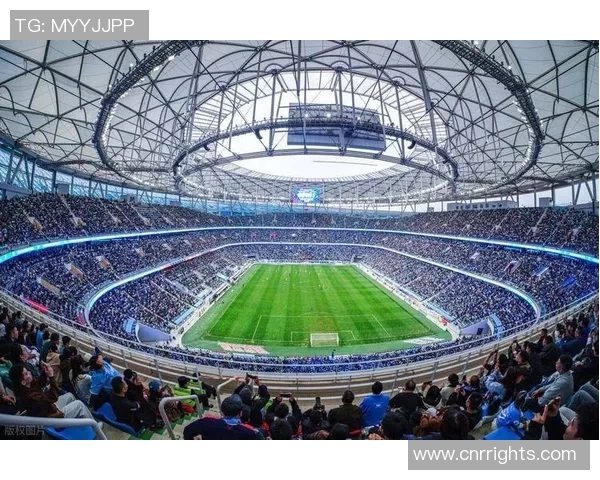 《老爹足球传奇：从草根到巨星的辉煌历程与不朽影响》